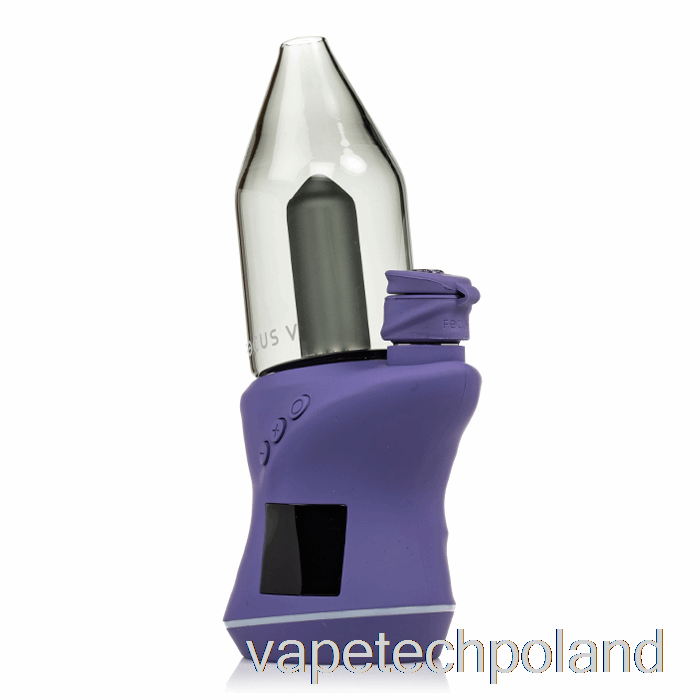 Vape Shop Warszawa Focus V Carta 2 Dab E-rig Winogron